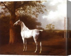 Horse's Canvas Paintings - White Horse in Pasture by Jacques Laurent Agasse