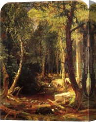 Jas De Bouffan The Pool Canvas Paintings - Pool in the Woods by Jasper Francis Cropsey