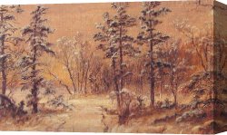 Woodland Canvas Paintings - Winter Woodland by Jasper Francis Cropsey
