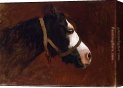 Jean-leon Gerome Canvas Paintings - Profile of a Horse by Jean-Leon Gerome