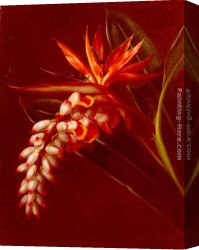 Johan Laurentz Jensen Canvas Paintings - Bird Of Paradise by Johan Laurentz Jensen