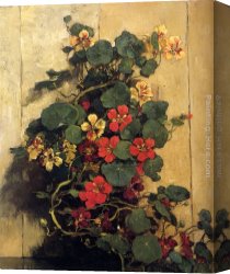 Indian Sacrifice Canvas Paintings - Indian Cress by Johannes Evert Akkeringa