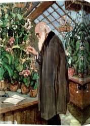 Charles Canvas Paintings - Charles Robert Darwin by John Collier