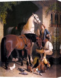 Feeding The Goldfish Canvas Paintings - Feeding the Arab by John Frederick Herring Snr