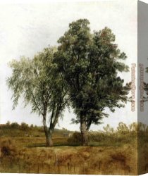 Kensett Canvas Paintings - A Study of Trees by John Frederick Kensett
