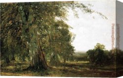 Kensett Canvas Paintings - Windsow Woods by John Frederick Kensett