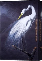 John Linnell Canvas Paintings - Great Egret by John James Audubon
