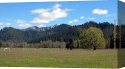 Ottis Canvas Paintings - Meadow by John Ottis Adams