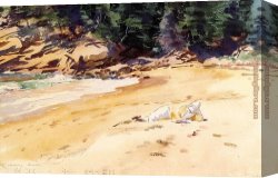 Cafe Concert Singer Canvas Paintings - Sand Beach Schooner Head Maine by John Singer Sargent