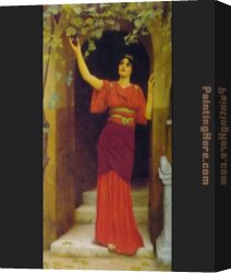 John William Godward Canvas Paintings - Young Girl Picking Grapes by John William Godward