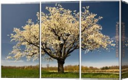 Evening Landscape at East Bergholt Canvas Paintings - Blossom by landscape