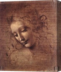 Head Canvas Paintings - Female Head by Leonardo da Vinci