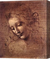 Hair Canvas Paintings - The Lady of the Dishevelled Hair by Leonardo da Vinci