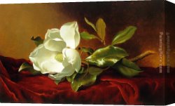 Untitled Green Red on Orange 1951 Canvas Paintings - A Magnolia on Red Velvet by Martin Johnson Heade