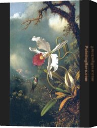 Martin Johnson Heade Canvas Paintings - An Amethyst Hummingbird with a White Orchid by Martin Johnson Heade