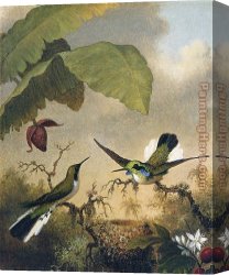Fairy Canvas Paintings - Black-Eared Fairy by Martin Johnson Heade