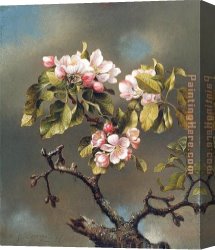 Martin Johnson Heade Canvas Paintings - Branch of Apple Blossoms against a Cloudy Sky by Martin Johnson Heade