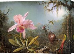 Martin Johnson Heade Canvas Paintings - Cattelya Orchid and Three Brazilian Hummingbirds by Martin Johnson Heade