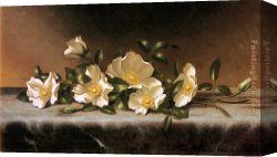 Heart of The Rose Canvas Paintings - Cherokee Roses On A Light Gray Cloth by Martin Johnson Heade