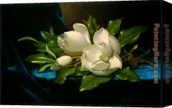 Martin Johnson Heade Canvas Paintings - Giant Magnolias on a Blue Velvet Cloth by Martin Johnson Heade