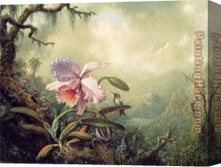 Orchid Canvas Paintings - Heliodore's Woodstar and a Pink Orchid by Martin Johnson Heade