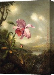Orchid Canvas Paintings - Hummingbird and Orchid, Sun Breaking Through the Clouds by Martin Johnson Heade