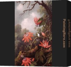 Martin Johnson Heade Canvas Paintings - Hummingbird and Passionflowers by Martin Johnson Heade