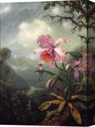 Orchid Canvas Paintings - Hummingbird Perched on an Orchid Plant by Martin Johnson Heade