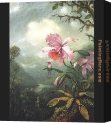 Orchid Canvas Paintings - Hummingbird Perched on an Orchid Plat by Martin Johnson Heade