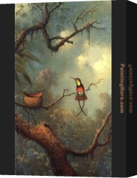 Hummingbird Canvas Paintings - Hummingbirds 1870 by Martin Johnson Heade