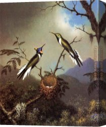 The Wasp's Nest Canvas Paintings - Hummingbirds at Their Nest - Sun Gems by Martin Johnson Heade