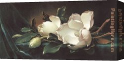 Martin Johnson Heade Canvas Paintings - Magnolia Blossoms on Blue Velvet by Martin Johnson Heade