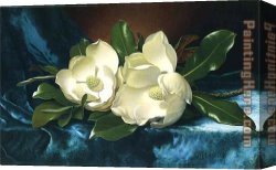 Martin Johnson Heade Canvas Paintings - Magnolias on a Blue Velvet Cloth by Martin Johnson Heade