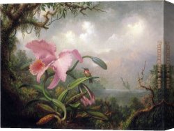 Orchid Canvas Paintings - Orchid and Hummingbird by Martin Johnson Heade
