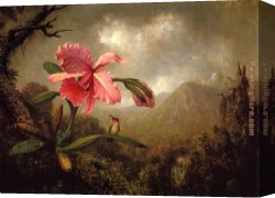 Orchid Canvas Paintings - Orchid and Hummingbird near a Mountain Waterfall by Martin Johnson Heade