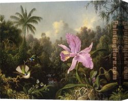 Orchid Canvas Paintings - Orchid and Two Hummingbirds by Martin Johnson Heade