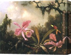 Orchid Canvas Paintings - Orchids and Crimson Topaz Hummingbird by Martin Johnson Heade