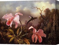 Orchids And Hummingbird Canvas Paintings - Orchids and Hummingbird  2 by Martin Johnson Heade