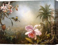 Martin Johnson Heade Canvas Paintings - Orchids Nesting Hummingbirds and a Butterfly by Martin Johnson Heade
