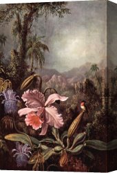 Orchid Canvas Paintings - Orchids passion flower and hummingbirds by Martin Johnson Heade