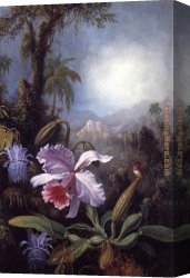 Orchid Canvas Paintings - Orchids, Passion Flowers and Hummingbird by Martin Johnson Heade