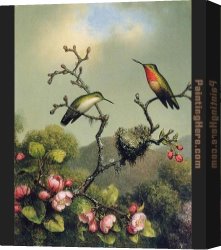 Martin Johnson Heade Canvas Paintings - Ruby Throat of North America by Martin Johnson Heade
