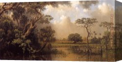 Martin Johnson Heade Canvas Paintings - The Great Florida Marsh by Martin Johnson Heade