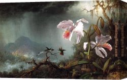 Marshal Ney on Horseback Fighting The Wind Canvas Paintings - Two Fighting Hummingbirds with Two Orchids by Martin Johnson Heade