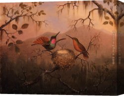 Hummingbird Canvas Paintings - Two Hummingbirds at a Nest by Martin Johnson Heade