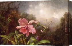 Orchid Canvas Paintings - Two Hummingbirds by an Orchid by Martin Johnson Heade