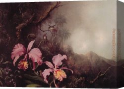 Martin Johnson Heade Canvas Paintings - Two Orchids in a Mountain Landscape by Martin Johnson Heade