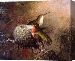 The Wasp's Nest Canvas Paintings - Two Ruby Throats by their Nest by Martin Johnson Heade