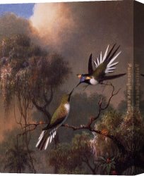 Martin Johnson Heade Canvas Paintings - Two Sun Gems on a Branch by Martin Johnson Heade