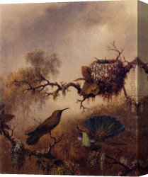 Violet Canvas Paintings - White-Vented Violet-Eared by Martin Johnson Heade